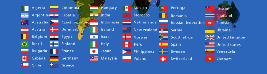 海外社媒营销小语种网站建设  第1张